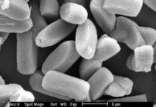 Hydrothermal Stability Synthetic SAPO-34 Zeolite Catalyst Suitable Pore Structure